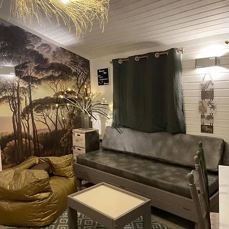 T3 4/6 Personnes A Agde